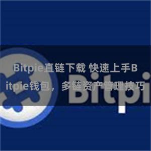 Bitpie直链下载 快速上手Bitpie钱包，多链资产管理技巧