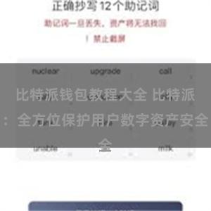 比特派钱包教程大全 比特派：全方位保护用户数字资产安全