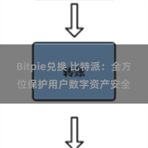 Bitpie兑换 比特派：全方位保护用户数字资产安全