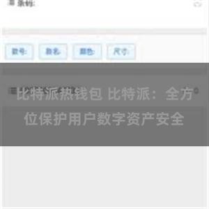 比特派热钱包 比特派：全方位保护用户数字资产安全